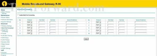 1net1 1net1_R-90 port forward