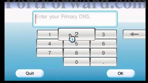 wii_dns_enter_data.jpg