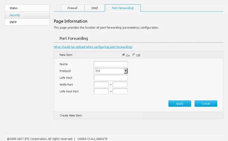 port forwarding